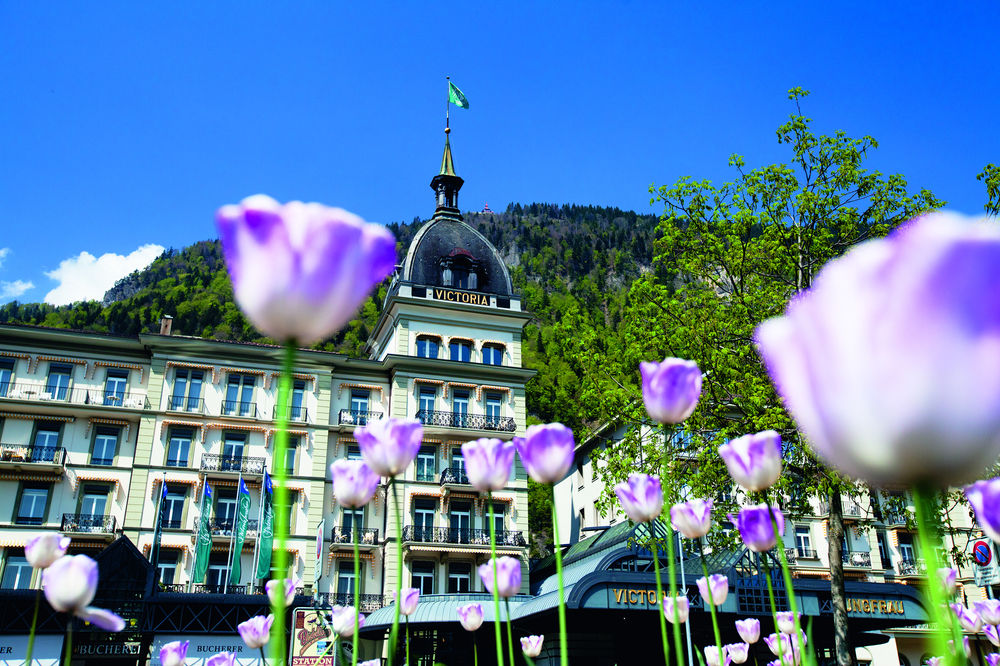 Victoria Jungfrau Grand Hotel & Spa 인터라켄 Switzerland thumbnail